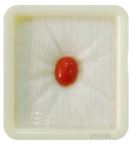 GRA Certified Japanese Red  Stone Original ( lal moonga ) Oval Cut Munga Gemstone 2.25 Ct to 15 Ct