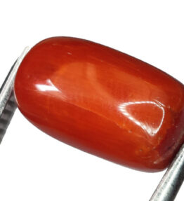 GRA Certified Natural Red prabal  Stone Loose moonga  8.00 Carat ( 8.8 Ratti )