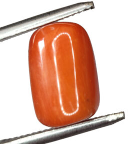 GRA Certified Natural Red prabal  Stone Loose moonga  6.60 Carat ( 7.26 Ratti )