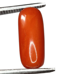 GRA Certified Natural Red prabal  Stone Loose moonga  7.20 Carat ( 7.92 Ratti )